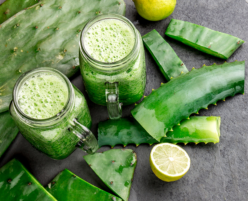 nutricion